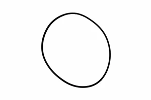 *O'RING, INLET FLG; 2" POLY; JOHN BLUE